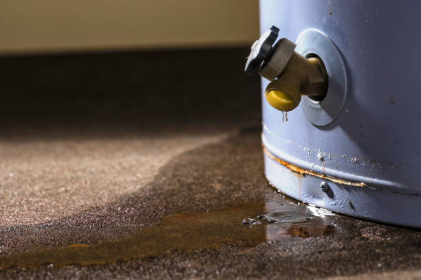 Best 24-hour water damage restoration  in East Grand Rapids, MI