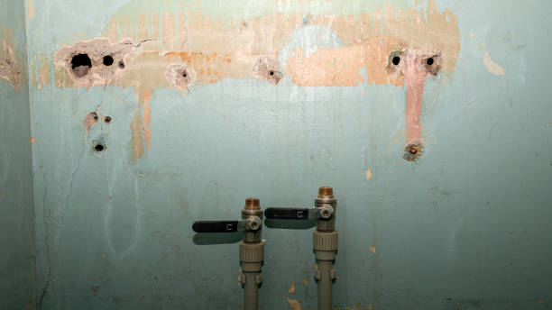 Best Emergency water damage restoration  in East Grand Rapids, MI