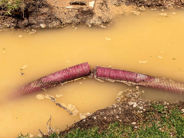Best Water damage cleanup near me  in East Grand Rapids, MI