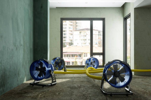 Best Residential water damage restoration  in East Grand Rapids, MI
