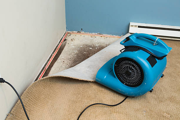 Best Fire Damage Restoration  in East Grand Rapids, MI